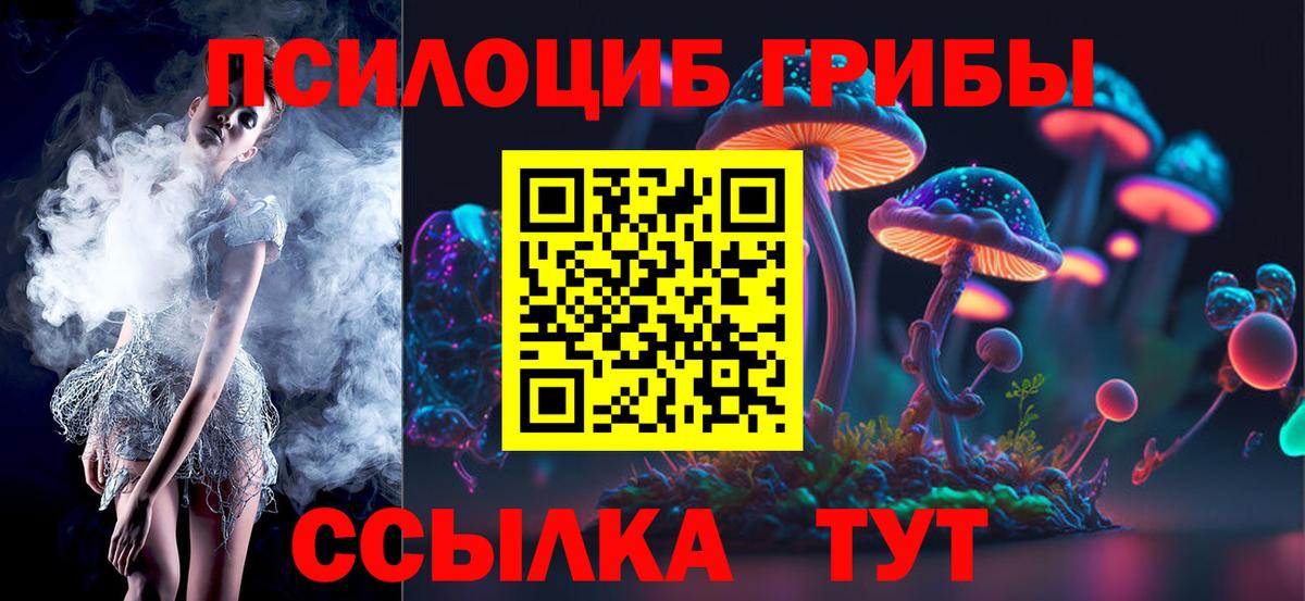 Галлюциногенные грибы Magic Shrooms  Вход с VPN  купить   Галлюциногенные грибы Psilocybe  Кисловодск 